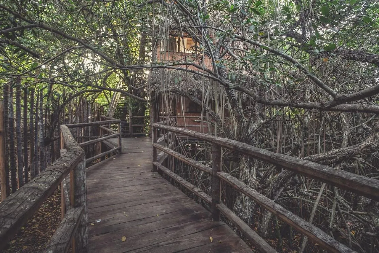 **** Hotel Hidden Treehouse Tulum Eco-Hotel Mexico