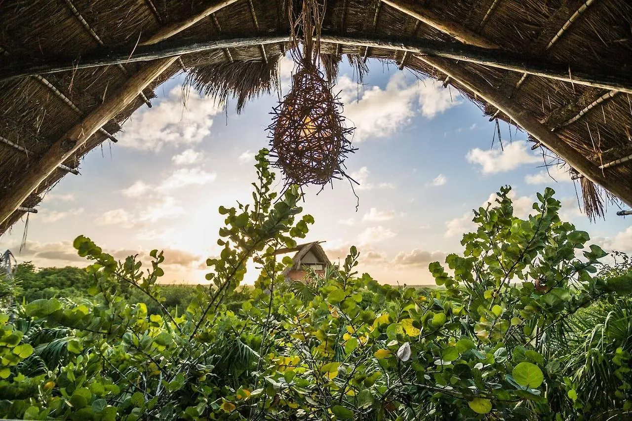 Hidden Treehouse Tulum Eco-Hotel