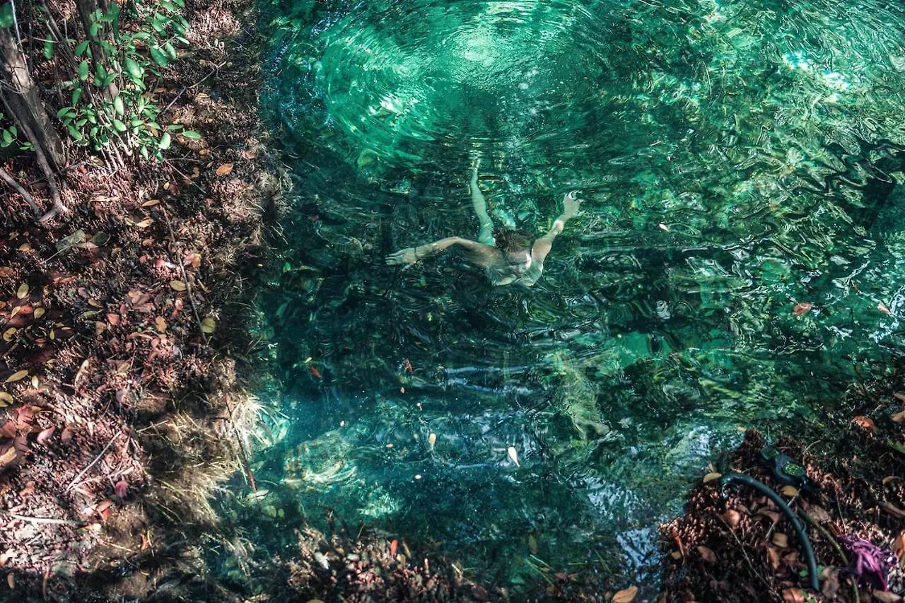 Hidden Treehouse Tulum Eco-Hotel