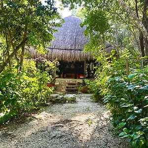 https://bunga-lotus-glamping-otoch-nacom.tulum-hotels.net